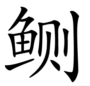 鲗